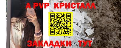 ГАЛЛЮЦИНОГЕННЫЕ ГРИБЫ Кингисепп